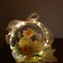 조브로스 이미지