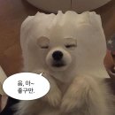 위스키서울 네이버블로그