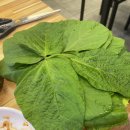 제주신도시 이미지