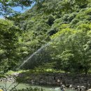 남창감나무집 이미지