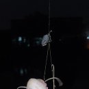 샘터낚시터 이미지