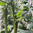 덕동농장 이미지