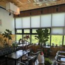 고향보리밥 이미지