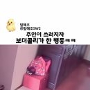 그렇게 힘이 세면,벽돌을 깨보개 진맥해보니 죽지 않았당개 이미지