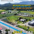 강원토지공인중개사사무소 | NO.31185.철원토지매매,강포리토지매매,대로변토지