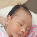 세나여성한의원 | [전주] 조리원 :) 세나산후조리원, 🤰👼💓_모자동실