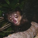 아이아이 이미지