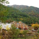 장령산자연휴양림 이미지