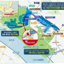 라임벨리 이미지