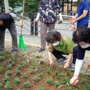 주안3동 이미지