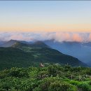 재약산식당 이미지