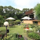 타로와의 치유 여행 이미지