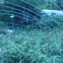 부산광역시 남구청 이미지