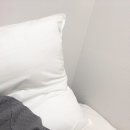 미라클호텔 | [경추베개, 호텔베개] 제제 미라클 호텔 경추베개 솔직 사용 후기! 🫧