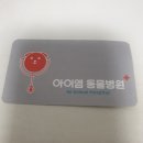 바다동물병원(Bada Animal Hospital) | 고양이 중성화 수술 후기- 서교동 아이엠동물병원 추천(중성화 수술의 성지)
