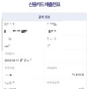 비샤인 이미지