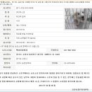 2013년 03월 04일, apms 접수, 경기 고양, 수컷(믹스/손목절단/??) 이미지