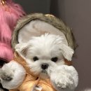 발산커피 이미지