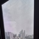 로얄카운티 이미지