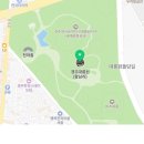 몽화