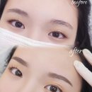 자연눈썹율하점