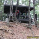 분당-335 이미지