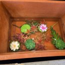 단정추어탕 한방능이백숙 이미지