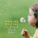 [시] 생명의 서 / 유치환 이미지