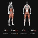 타이거 휘트니스 이미지