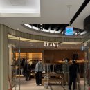 i'm dog(아이엠도그) | Surf Supply(필그림서프 서플라이) 25FW 모자 후쿠오카 하카타역 아뮤플라자 빔즈 구매후기 및 쇼핑꿀팁