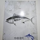 이강참치 - 동작구 사당로 204 | 이강참치