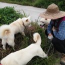 운동농장 이미지