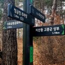 주산 이미지