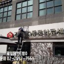 강서YD동물의료센터 이미지