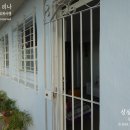 까사까리도 이미지