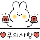 제인팜스 이미지