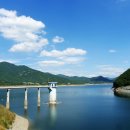 금호강영천 이미지