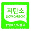 305 이미지