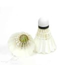 배드민턴 이미지