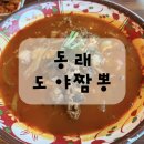 수안역 맛집 도야짬뽕 후기