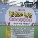 대구한의대학교 대학원 | <대구>2026동성로놀장 다녀 온 후기