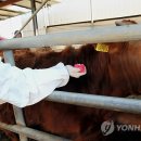 경남방역사 이미지