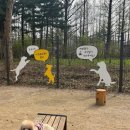 뛰뛰 강아지 놀이터 이미지