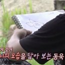 동욱농장 네이버블로그