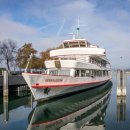 아이퍼피 이미지