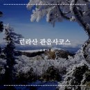 한라산 관음사 코스 백록담을 담다 (2019.01.21)
