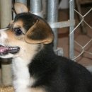 투포케이 24K | [투포케이 24K] 귀여워 죽겠어