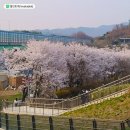 백운호수 산책로 이미지