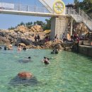 비에이치씨용화점 이미지