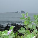 제주의사계 이미지